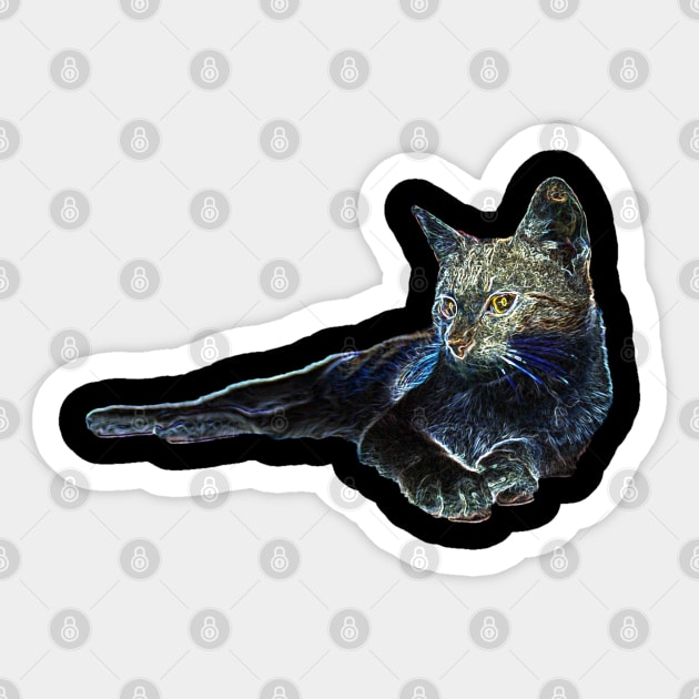 strange cat Sticker by rickylabellevie